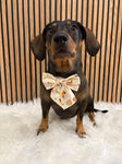 Handmade Dog Sailer Bow Tie - Autumn Dachshunds