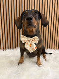 Handmade Dog Sailer Bow Tie - Autumn Dachshunds