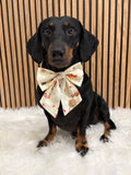 Handmade Dog Sailer Bow Tie - Autumn Dachshunds