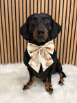 Handmade Dog Sailer Bow Tie - Autumn Dachshunds