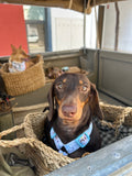 Handmade H Dog Harness - Mermaids