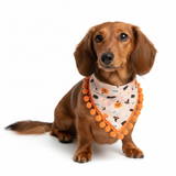 Boo! Halloween Pumpkins and Creepy Critters PomPom Bandana