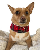 Handmade Christmas Tartan Dog Harness