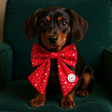 Christmas Stars Sailer Bow