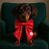 Christmas Stars Sailer Bow