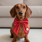 Christmas Stars Sailer Bow