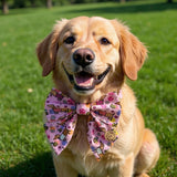 Handmade Sailer Bow- Bee Happy Dachshunds Pink