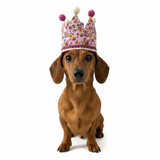Handmade Birthday Crown Hat - Pink Bee Happy Dachshunds