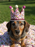 Handmade Birthday Crown - Bee Happy Dachshunds Pink