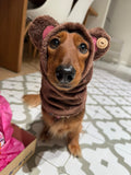 Dog Snood / Buff / Hat - Brown Teddy Bear