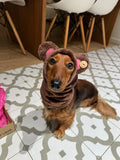 Dog Snood / Buff / Hat - Brown Teddy Bear