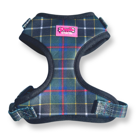 Cornish Hunting Tartan - Harness