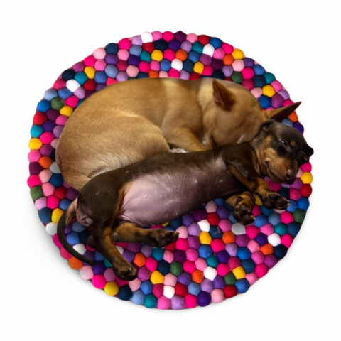 Pompom Sunshine Matt - Felt Ball Circular Rug