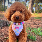 Pastel Vichy Harness