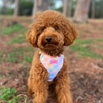 Pastel Vichy Harness