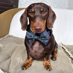Bow Tie - Cornish Hunting Tartan