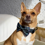 Bow Tie - Cornish Hunting Tartan