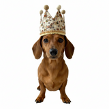 Handmade Birthday Crown Hat - Beige - Bee Happy Dachshunds