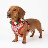 Christmas Dachshunds Harness