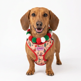 Christmas Dachshunds Harness
