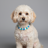 Blue EM Ceramic Bead Anti Tick Collar Anti-Parasitario
