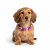 Purple EM Ceramic Bead Anti Tick Collar Anti-Parasitario