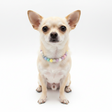 Mini Pastel EM Ceramic Bead Anti Tick Collar Anti-Parasitario
