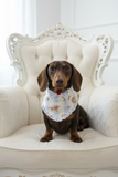 Le Petit Teckel Bluebell Bandana