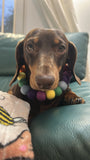 Collar de pompones personalizado "Rainbow Bright"