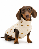 Premium Dachshund Jersey - “Croissants”