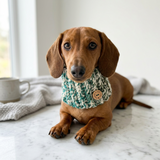 Handmade Christmas Dog Snood – Ombré Green & Gold Sparkle