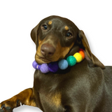 Personalised Pom Pom Dog Collar - Rainbow Brights 2cm Balls