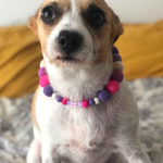 Pink & Purples Mix - Personalised Pom Pom Dog Collar