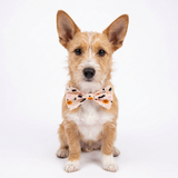 Handmade Dog Bow Tie - Halloween