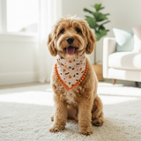 Boo! Halloween Pumpkins and Creepy Critters PomPom Bandana