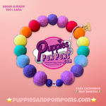 Personalised Pom Pom Dog Collar - Rainbow Brights 2cm Balls