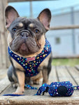 Harness - Terrazzo Stars