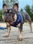 Harness - Terrazzo Stars