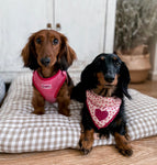 Pink Luxe Corduroy Harness