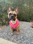 Pink Luxe Corduroy Harness