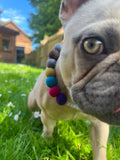 Personalised Pom Pom Dog Collar - Dolly Mix