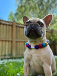 Personalised Pom Pom Dog Collar - Dolly Mix