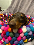 Pompom Dog Bed - Felt Ball Basket