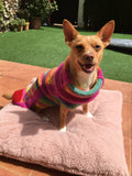 Handmade Rainbow & Pink Sparkle Striped Dog Jumper