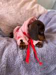 Valentine Puppy Love Hoodie - White - Clearance Sale