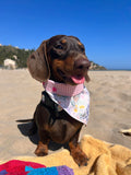Spring Bunnies Pink Vichy Dog Bandana - Snap On
