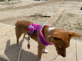 Pretty Pink Luxe Crochet Harness