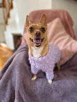 Baby Blue Pawfect Pup Jumper - Clearance Sale