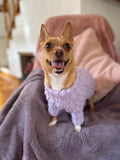 Baby Blue Pawfect Pup Jumper - Clearance Sale