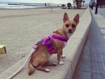 Pretty Pink Luxe Crochet Harness